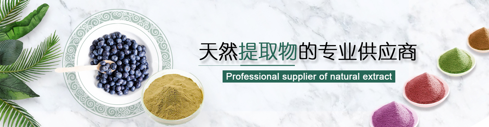 展迅生物天然提取物专业供应商