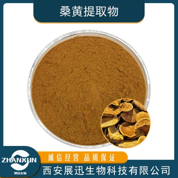 桑黄提取物