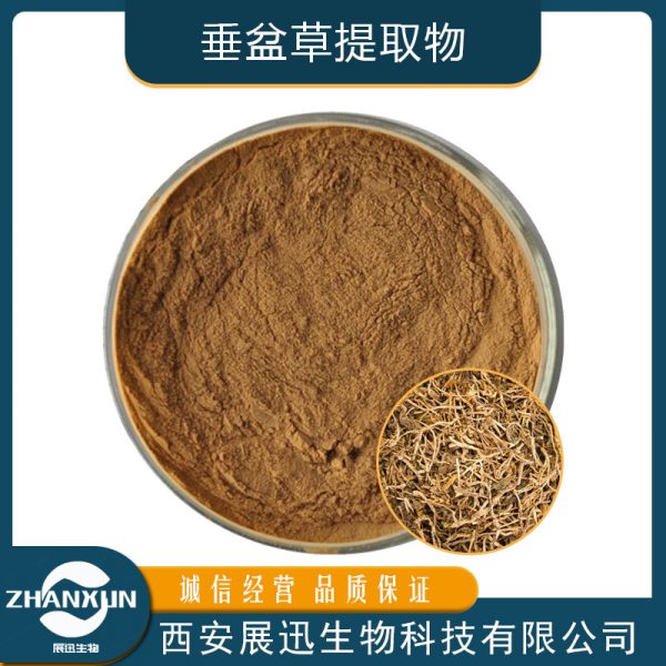 垂盆草提取物