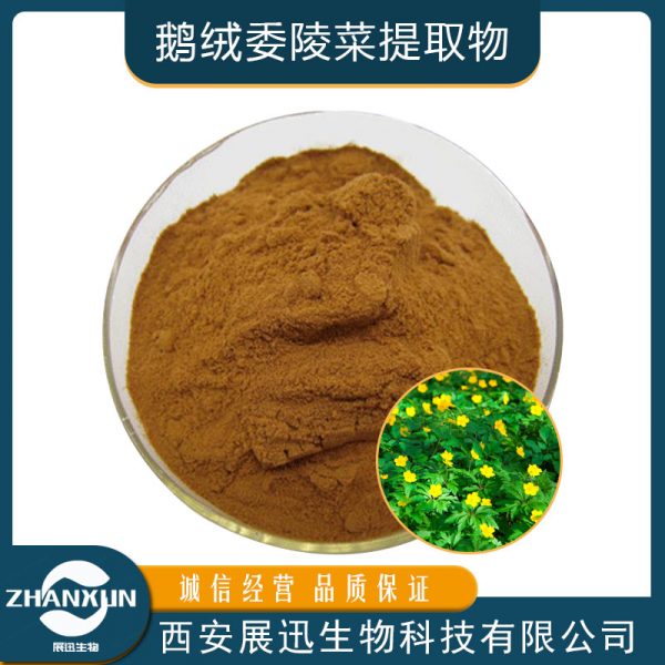 鹅绒委陵菜提取物