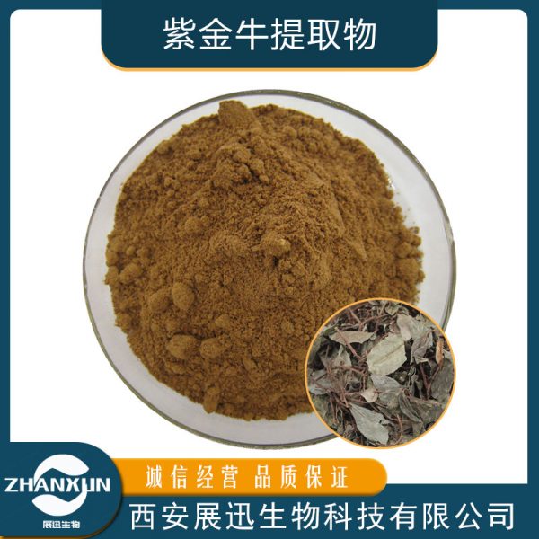 紫金牛提取物