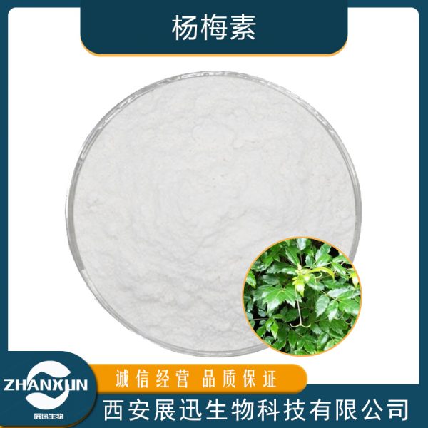 杨梅素